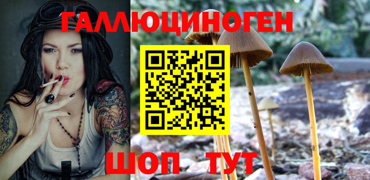 Псилоцибиновые грибы мицелий Сарапул